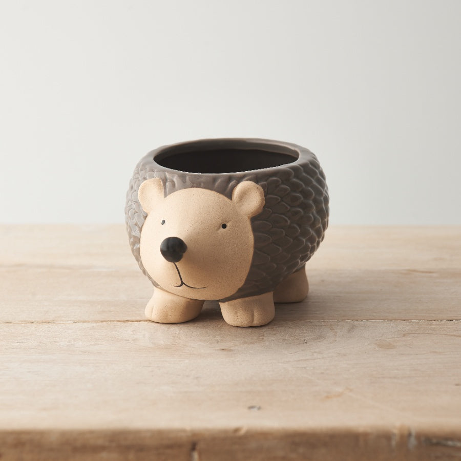 Hedgehog Plant Pot