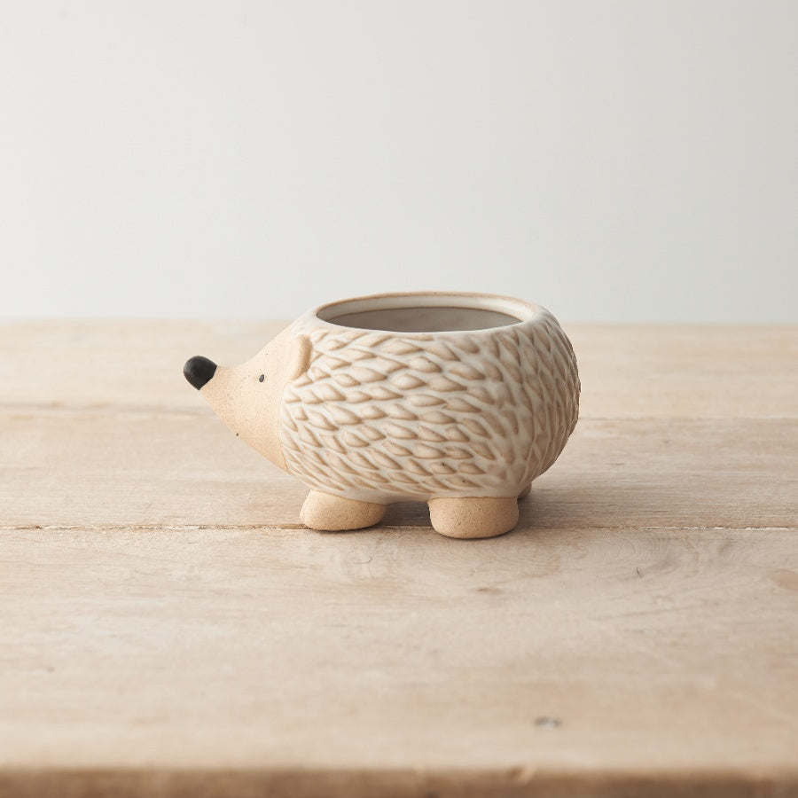 Hedgehog Plant Pot