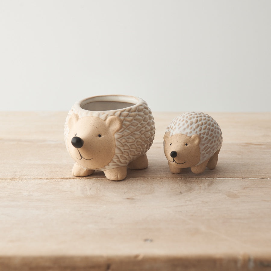 Hedgehog Plant Pot