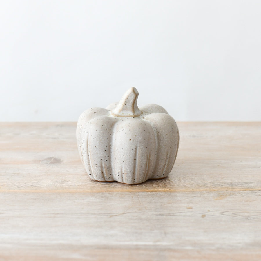 Natural Speckled Pumpkin