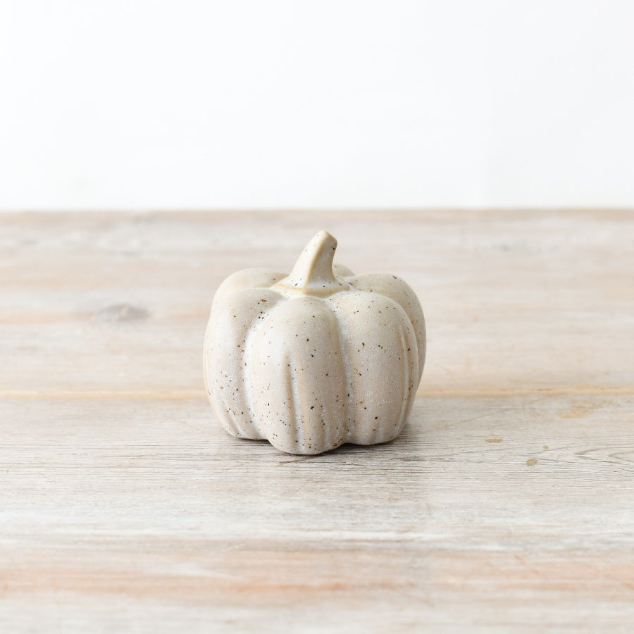 Natural Speckled Pumpkin