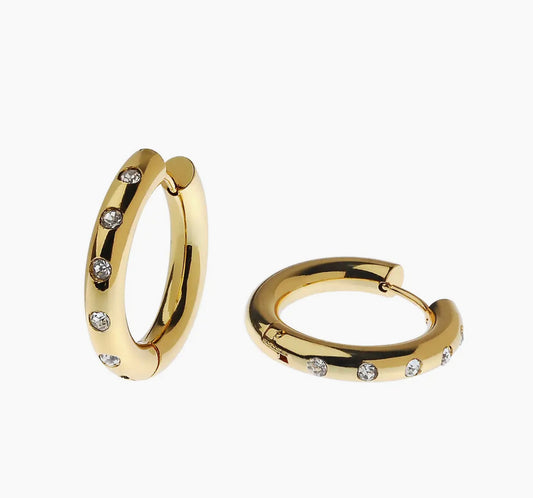 Gold Hoop Earrings