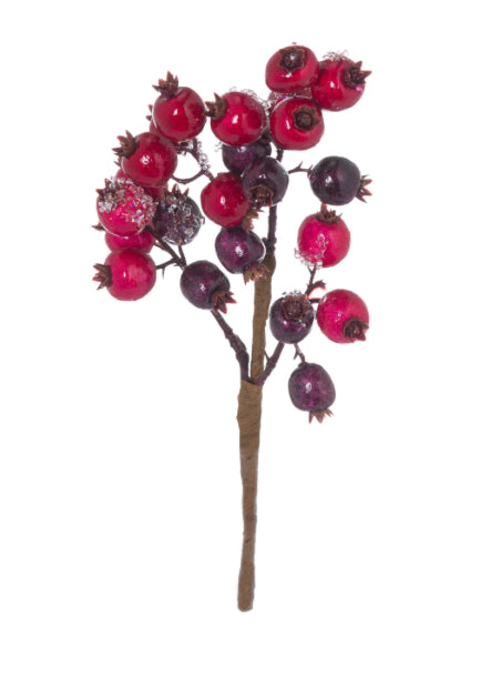 Red Berry Stem