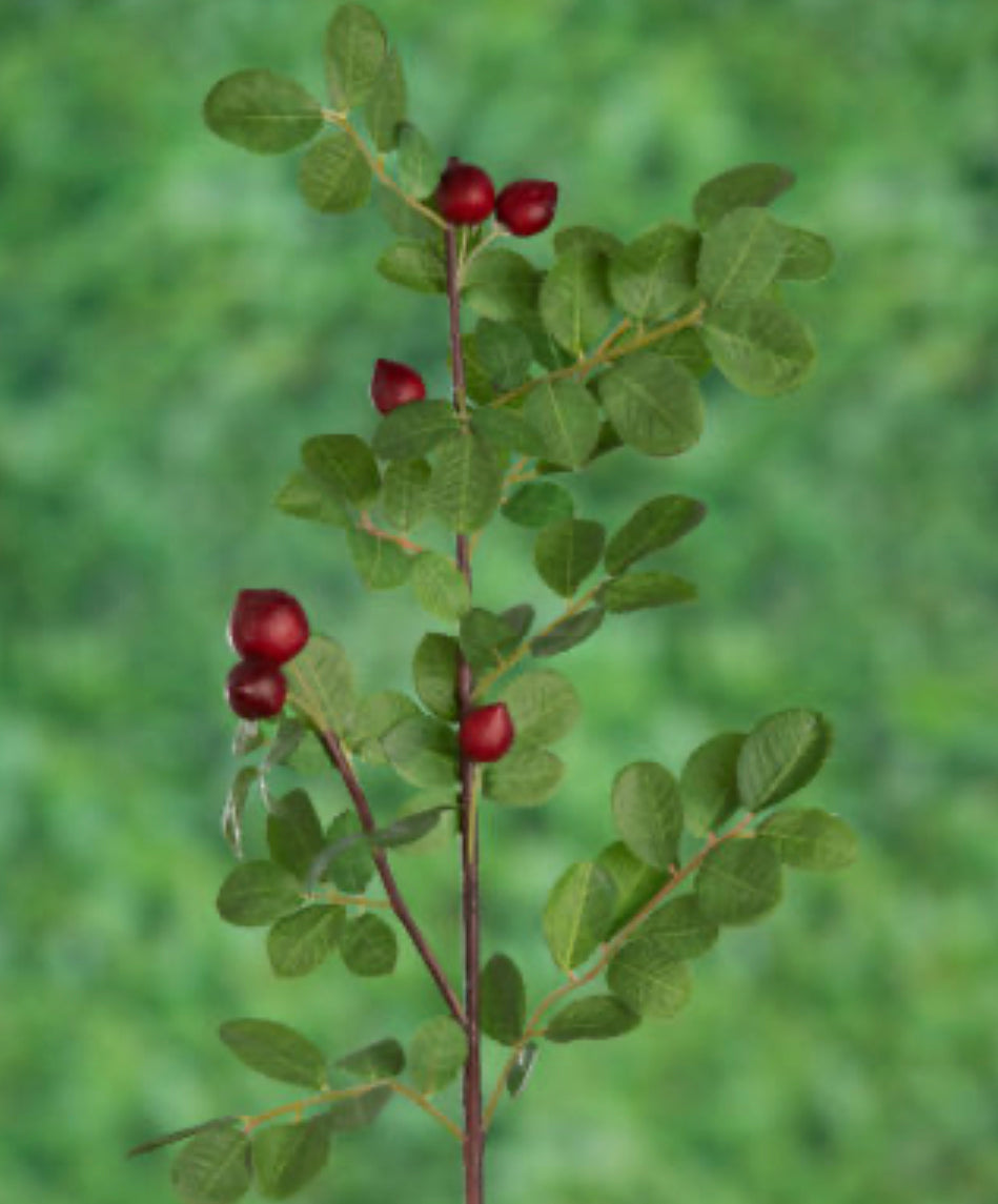 Red Berry Leaves