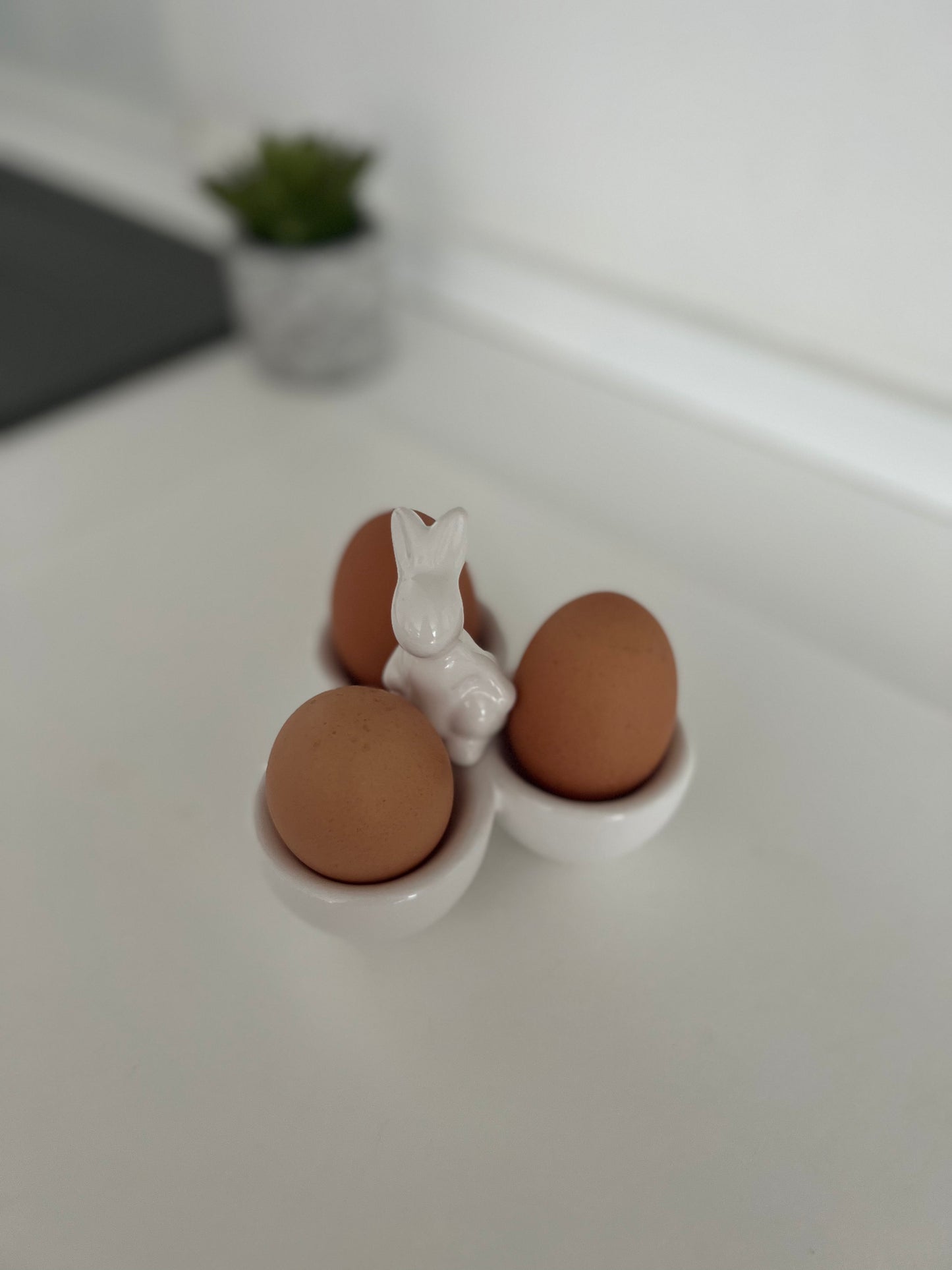 Rabbit Three Egg Cup