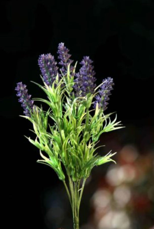 Purple Lavender Bunch